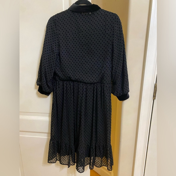 ZARA Swiss Dot Sheer dress - Picture 3 of 4